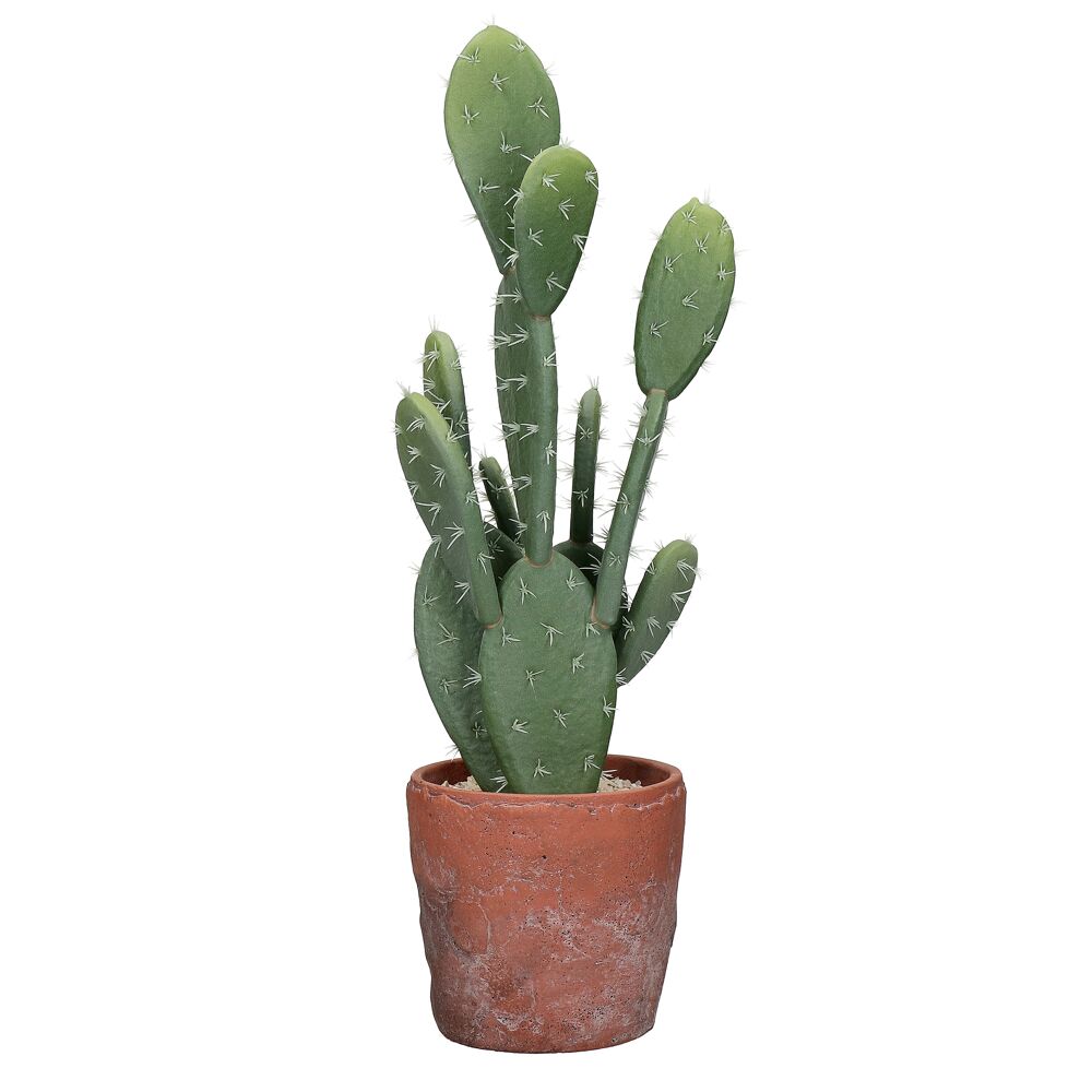 Terracotta Cactus