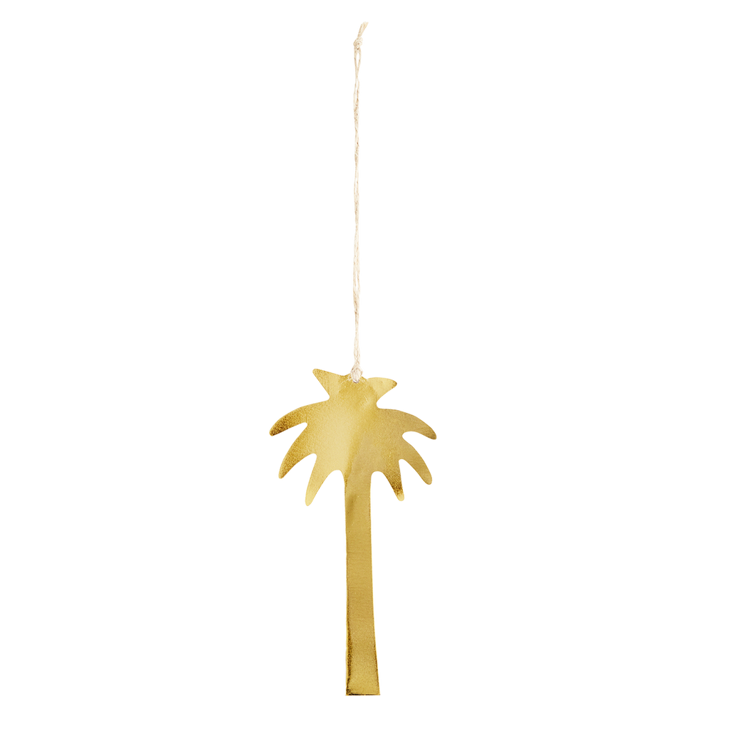 Hanging palm